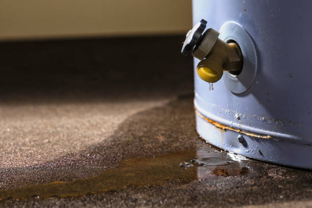 Trusted WA Water damage restoration Experts