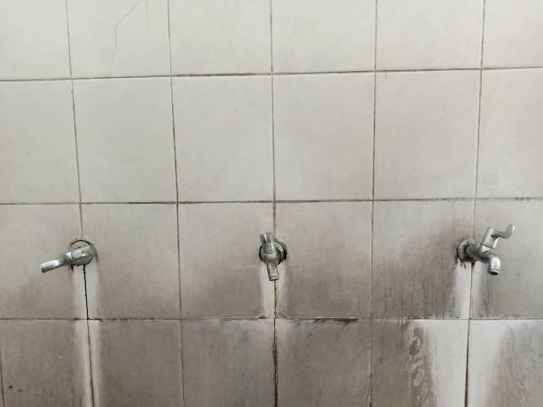 Best Water damage restoration near me  in Burbank, WA